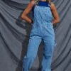 Blue Carpenter Overall Jeans