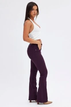 Purple Flare Denim Jeans Low Rise -FabWear Shop dl1953c 20jb plum 4
