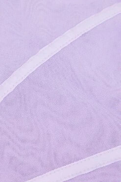 Purple Mesh Corset Top Lingerie -FabWear Shop jc12925 f3 lilac 4