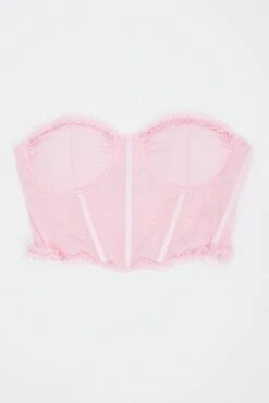 Pink Mesh Corset Top Lingerie