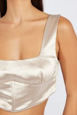 Beige Corset Top 11 Beige Corset Top -FabWear Shop wc7686 47wb champagne 6