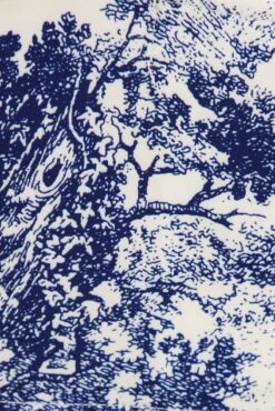 Blue Print Corset Top Sleeveless Square Neck Crop -FabWear Shop wc9062 47wb print 6